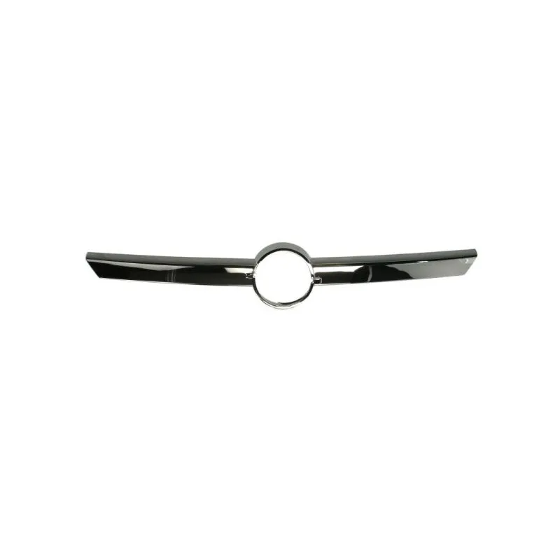 Baguette et bande protectrice, grille de radiateur BLIC 6502-07-5023210P