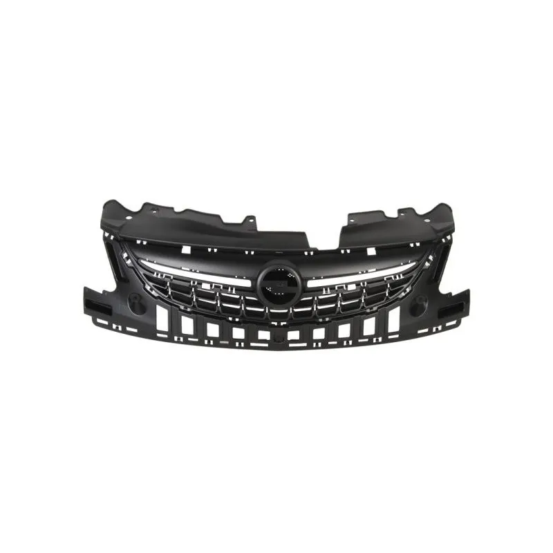 Grille de radiateur BLIC 6502-07-5024991P