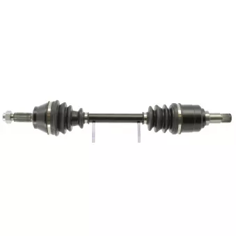 Arbre de transmission CEVAM