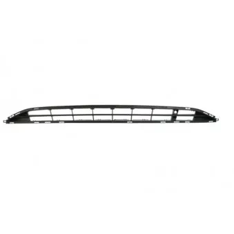 Grille de ventilation, pare-chocs BLIC 6502-07-5025910Q