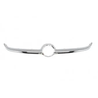 Baguette et bande protectrice, grille de radiateur BLIC 6502-07-5025991P