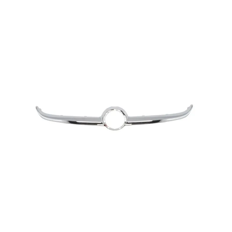 Baguette et bande protectrice, grille de radiateur BLIC 6502-07-5025991P