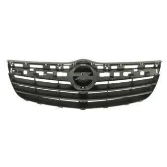 Grille de radiateur BLIC 6502-07-5033990P