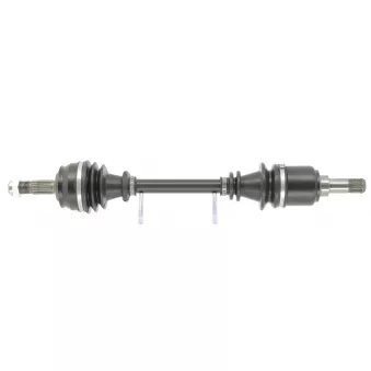 Arbre de transmission CEVAM