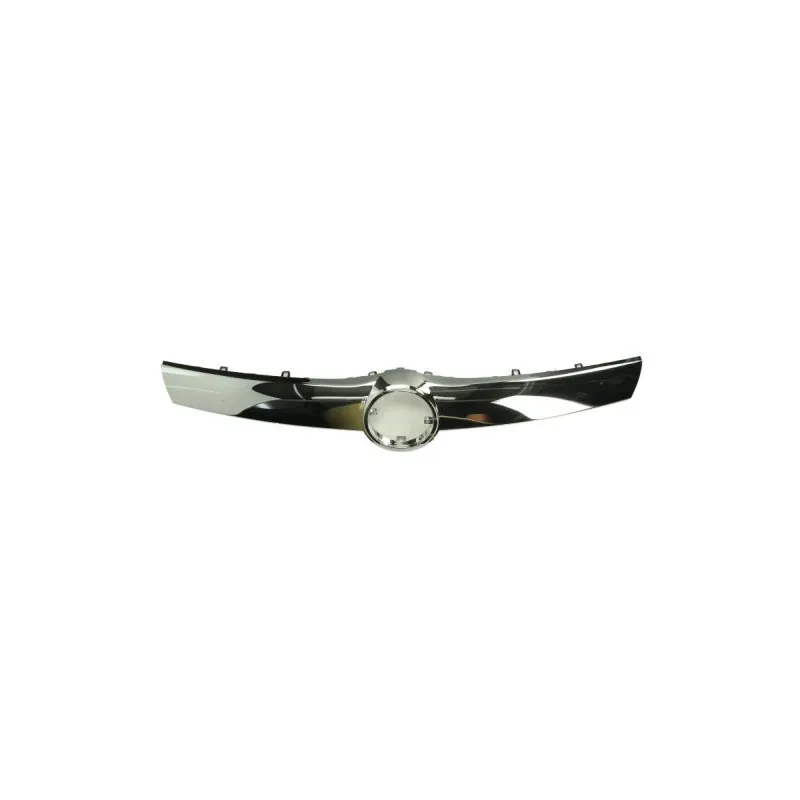 Baguette et bande protectrice, grille de radiateur BLIC 6502-07-5033991P