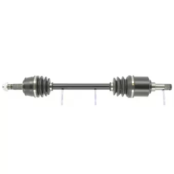 Arbre de transmission CEVAM