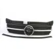Grille de radiateur BLIC 6502-07-5040990P - Visuel 1
