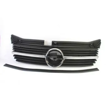 Grille de radiateur BLIC 6502-07-5040990P