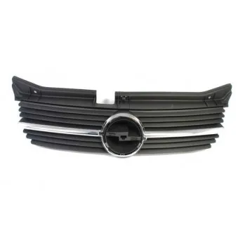 Grille de radiateur BLIC 6502-07-5040991P