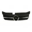 Grille de radiateur BLIC 6502-07-5040991P - Visuel 2