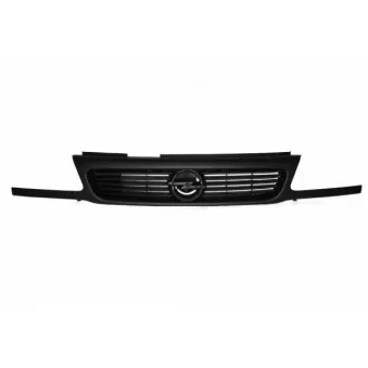 Grille de radiateur BLIC 6502-07-5050992P