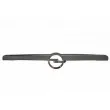 Baguette et bande protectrice, grille de radiateur BLIC 6502-07-5052991P - Visuel 1