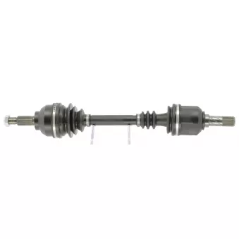 Arbre de transmission CEVAM