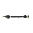 Arbre de transmission CEVAM 5550 - Visuel 1