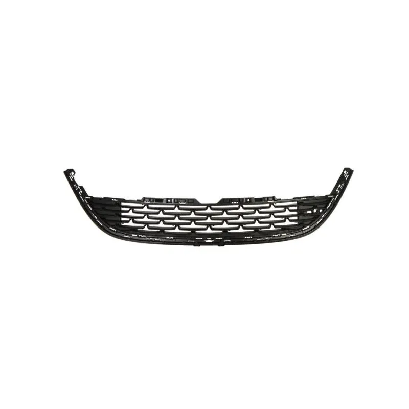 Grille de ventilation, pare-chocs BLIC 6502-07-5053911Q
