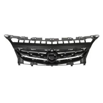 Grille de radiateur BLIC 6502-07-5053991Q
