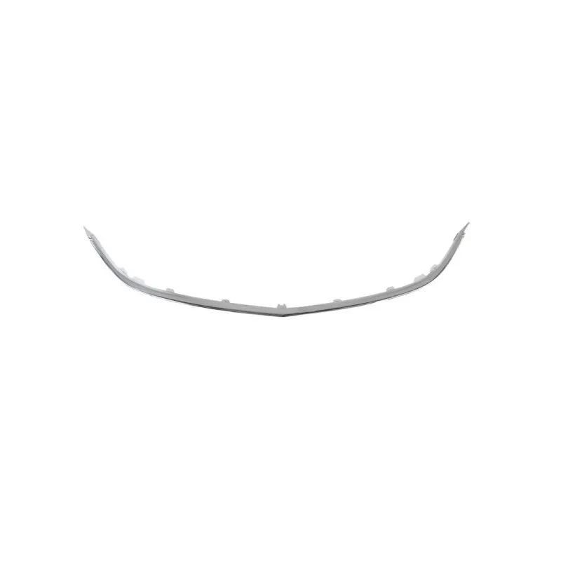 Baguette et bande protectrice, grille de radiateur BLIC 6502-07-5053992P