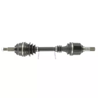 Arbre de transmission CEVAM