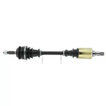 Arbre de transmission CEVAM