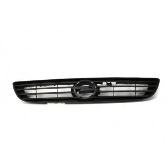 Grille de radiateur BLIC 6502-07-5062990P