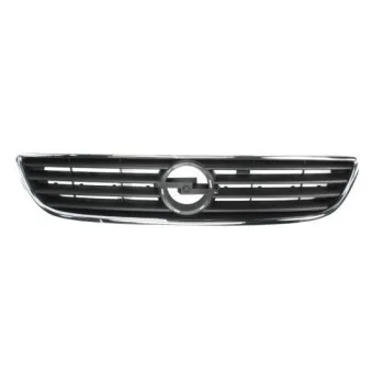 Grille de radiateur BLIC 6502-07-5062991P