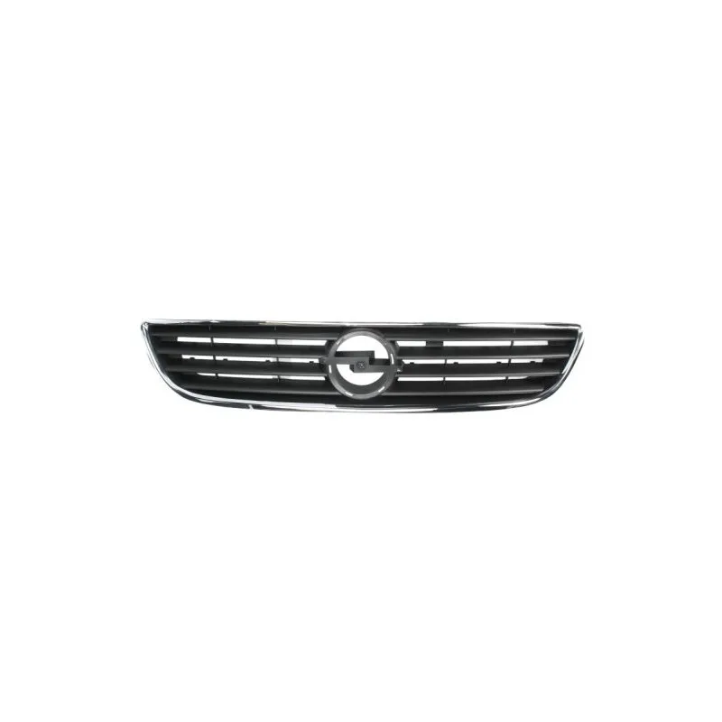 Grille de radiateur BLIC 6502-07-5062991P