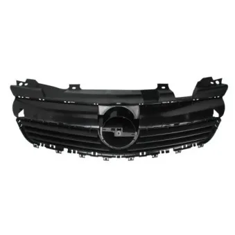 Grille de radiateur BLIC 6502-07-5063990P