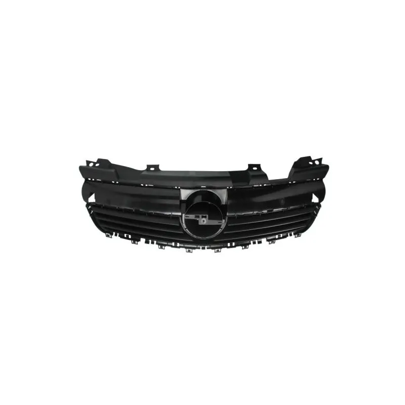 Grille de radiateur BLIC 6502-07-5063990P