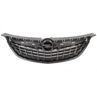 Grille de radiateur BLIC 6502-07-5064990P