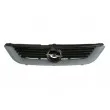 Grille de radiateur BLIC 6502-07-5077990P - Visuel 2