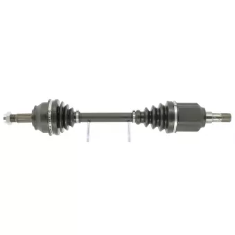 Arbre de transmission CEVAM