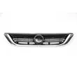 Grille de radiateur BLIC 6502-07-5077994P - Visuel 1
