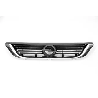 Grille de radiateur BLIC 6502-07-5077994P