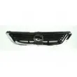 Grille de radiateur BLIC 6502-07-5077994P - Visuel 3