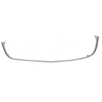 Baguette et bande protectrice, grille de radiateur BLIC 6502-07-5078992P
