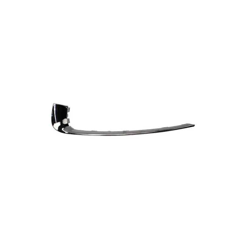 Baguette et bande protectrice, pare-chocs avant gauche BLIC 6502-07-5079915CP