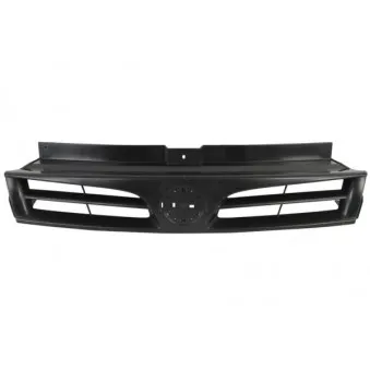 Grille de radiateur BLIC 6502-07-5089990P