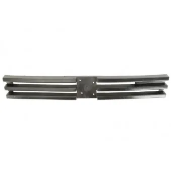 Grille de radiateur BLIC 6502-07-5503991P
