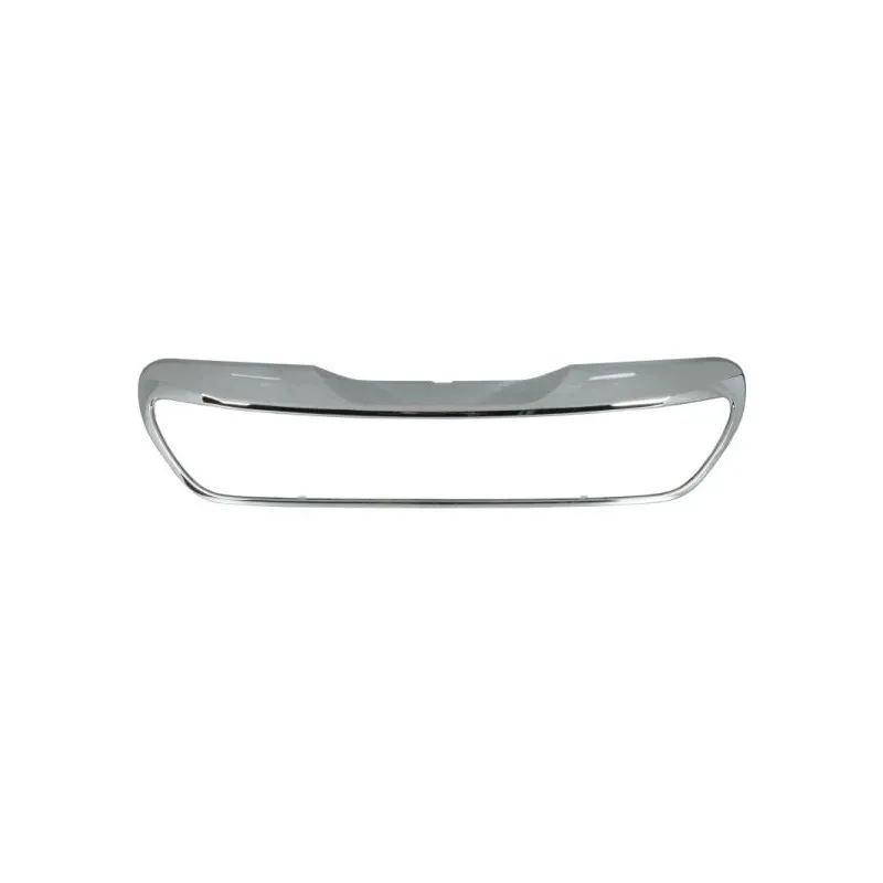 Cadre, grille de radiateur BLIC 6502-07-5504991P