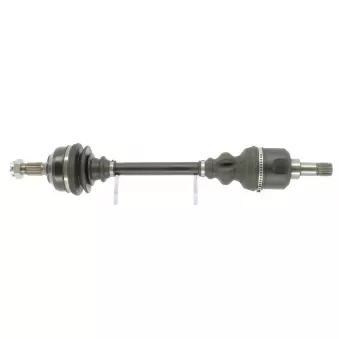 Arbre de transmission CEVAM