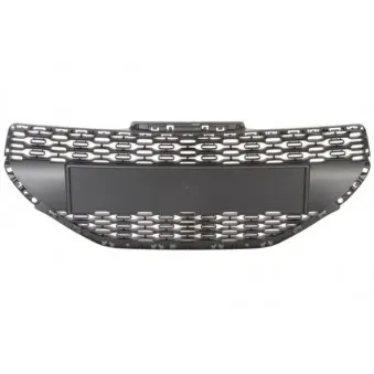 Grille de radiateur BLIC 6502-07-5509990Q