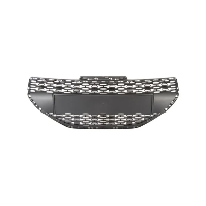 Grille de radiateur BLIC 6502-07-5509990Q