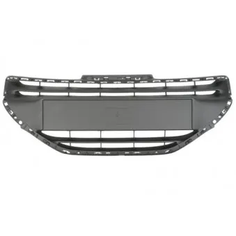 Grille de radiateur BLIC 6502-07-5509991P