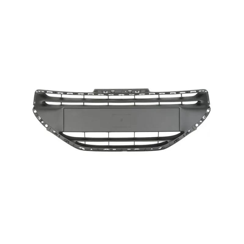 Grille de radiateur BLIC 6502-07-5509991P