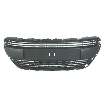 Grille de radiateur BLIC 6502-07-5509992PP