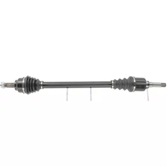 Arbre de transmission CEVAM 5911