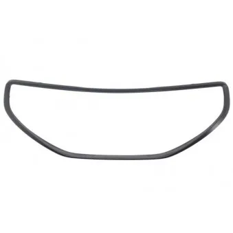Cadre, grille de radiateur BLIC 6502-07-5509997P