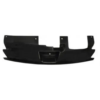 Grille de radiateur BLIC 6502-07-5513995P