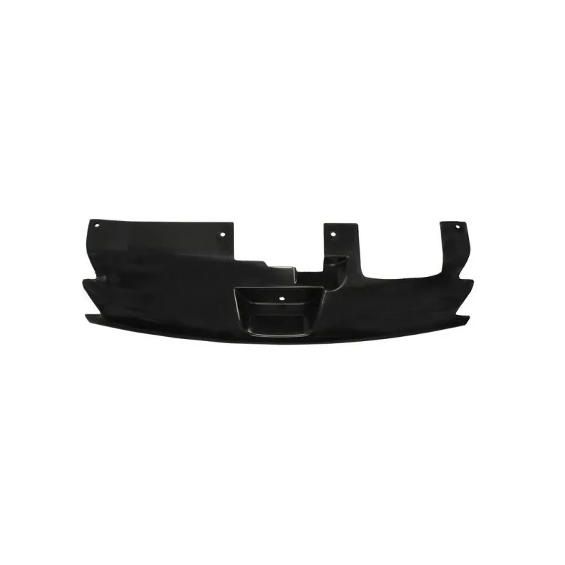 Grille de radiateur BLIC 6502-07-5513995P