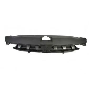 Grille de radiateur BLIC 6502-07-5514990P